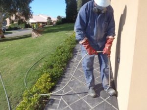 Termite Treatment