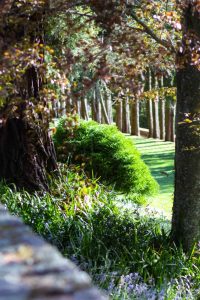 Landscape Designer Sydney