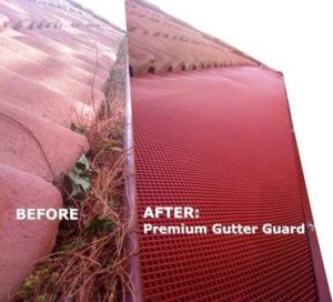 Gutter Cleaning