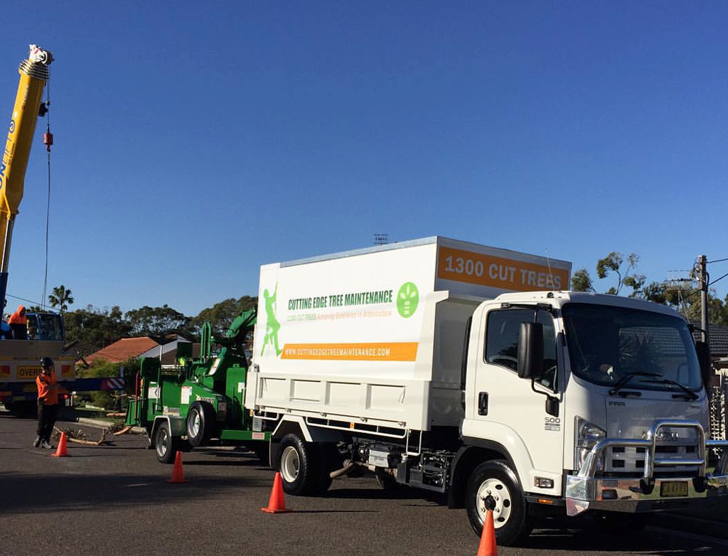 Tree Maintenance Newcastle