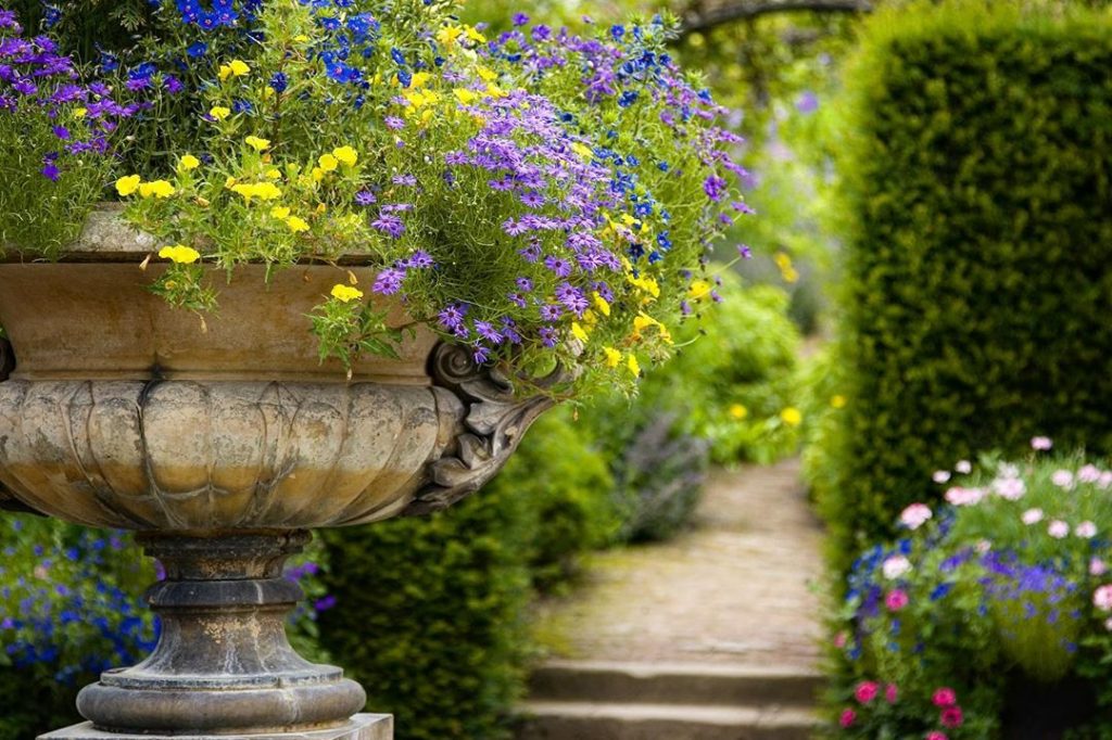 Stunning Garden Design In North Sydney