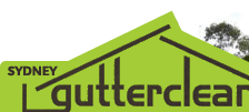 Gutter clean logo